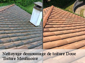 Nettoyage demoussage de toiture  77510