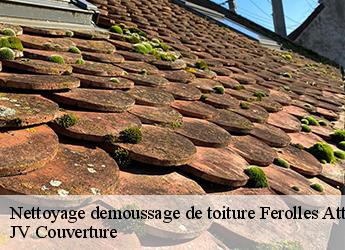 Nettoyage demoussage de toiture 77150