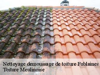 Nettoyage demoussage de toiture