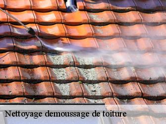 Nettoyage demoussage de toiture