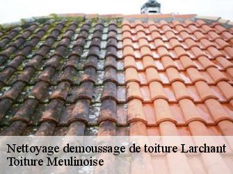 Nettoyage demoussage de toiture