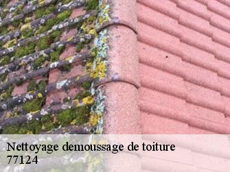 Nettoyage demoussage de toiture