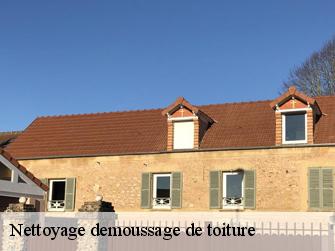 Nettoyage demoussage de toiture