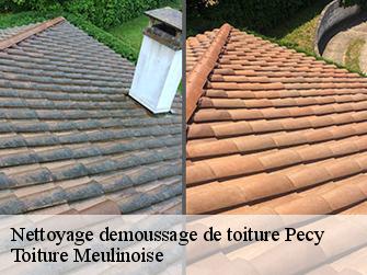 Nettoyage demoussage de toiture  77970