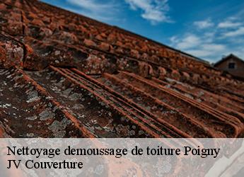 Nettoyage demoussage de toiture