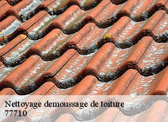 Nettoyage demoussage de toiture