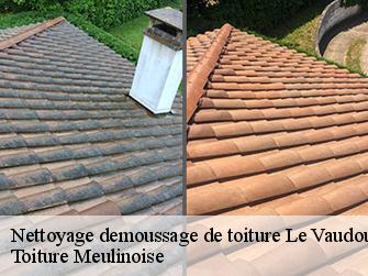 Nettoyage demoussage de toiture  77123